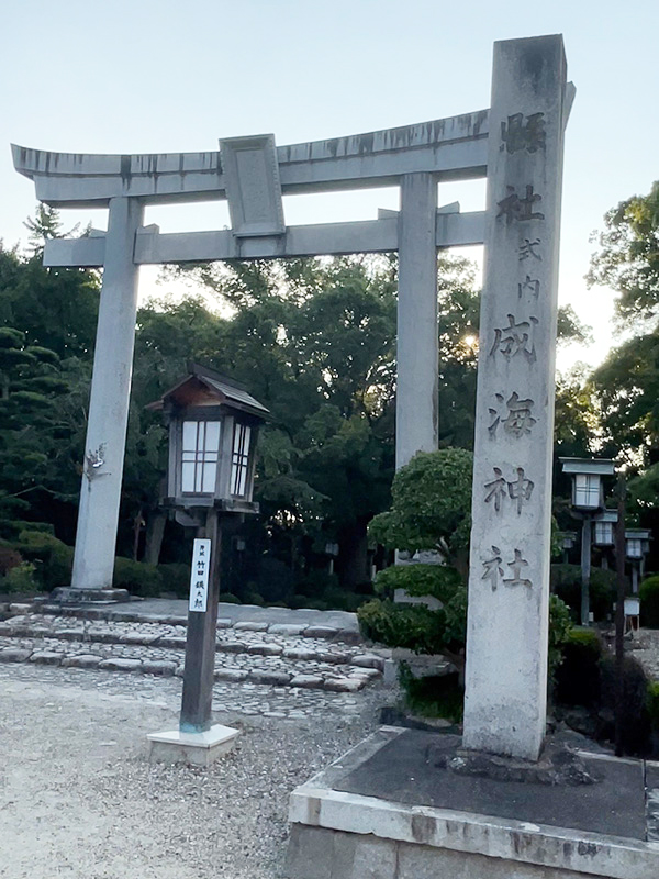 周辺情報